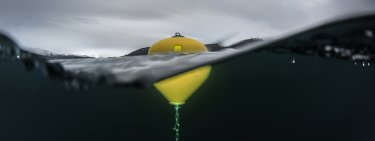 Polyform VP29034 POLYFORM BIG BUOYS trolltegn low